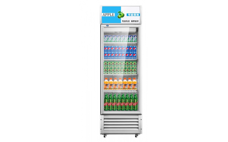 飲料柜商用冷藏柜展示柜啤酒柜冰箱單雙門冰柜水果柜蔬菜柜保鮮柜